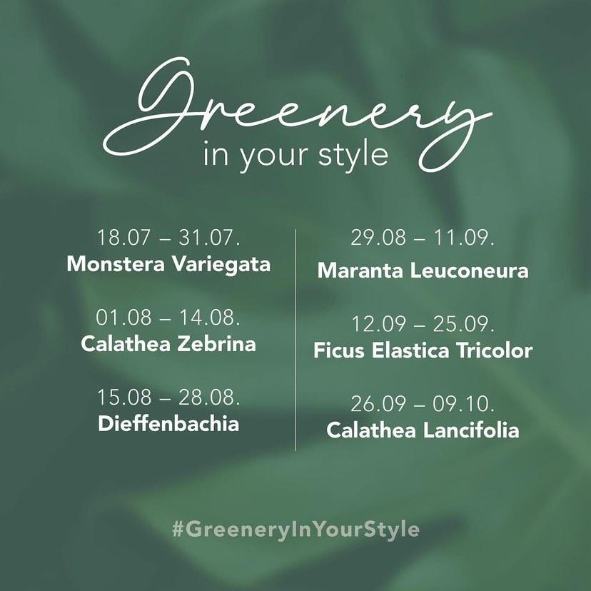 GreeneryInYourStyle - Challenge - Infos 2